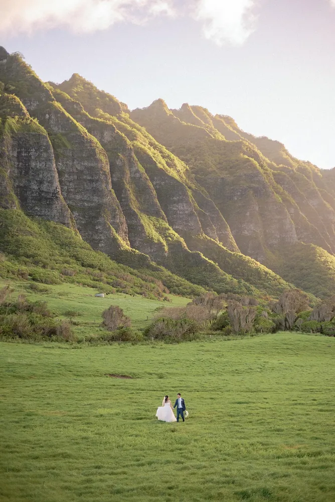 Wedding photograph by Steve Steinhardt